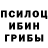 Галлюциногенные грибы мухоморы danil rabchevskiy
