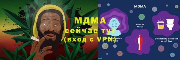 шишки Белокуриха