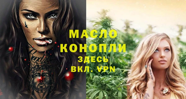 индика Саяногорск