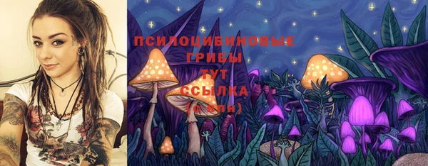твердый Богородицк