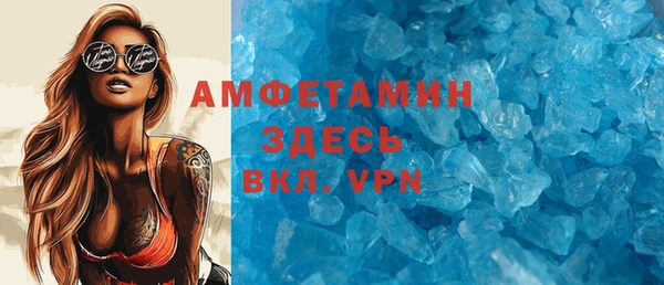 шишки Белокуриха
