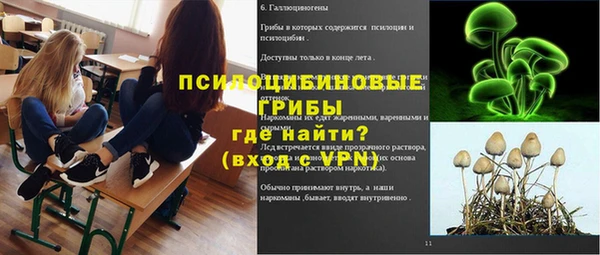 твердый Богородицк