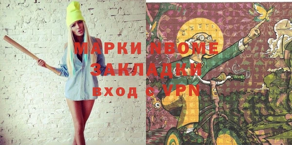 шишки Белокуриха