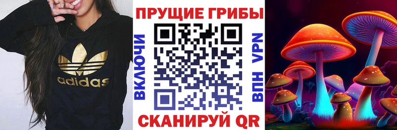 Псилоцибиновые грибы ЛСД Кореновск